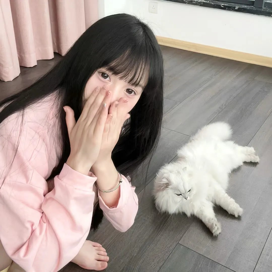 宿敌 第一季